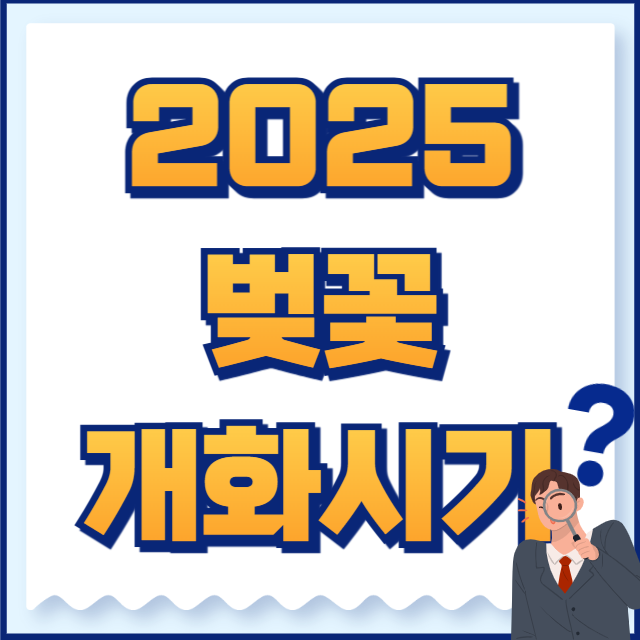2025 벚꽃 개화시기