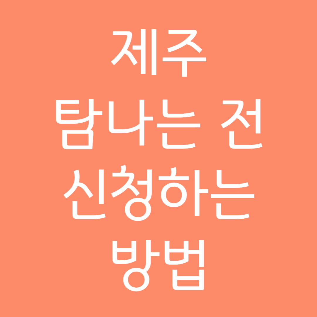 제주 탐나는전 신청하는 방법