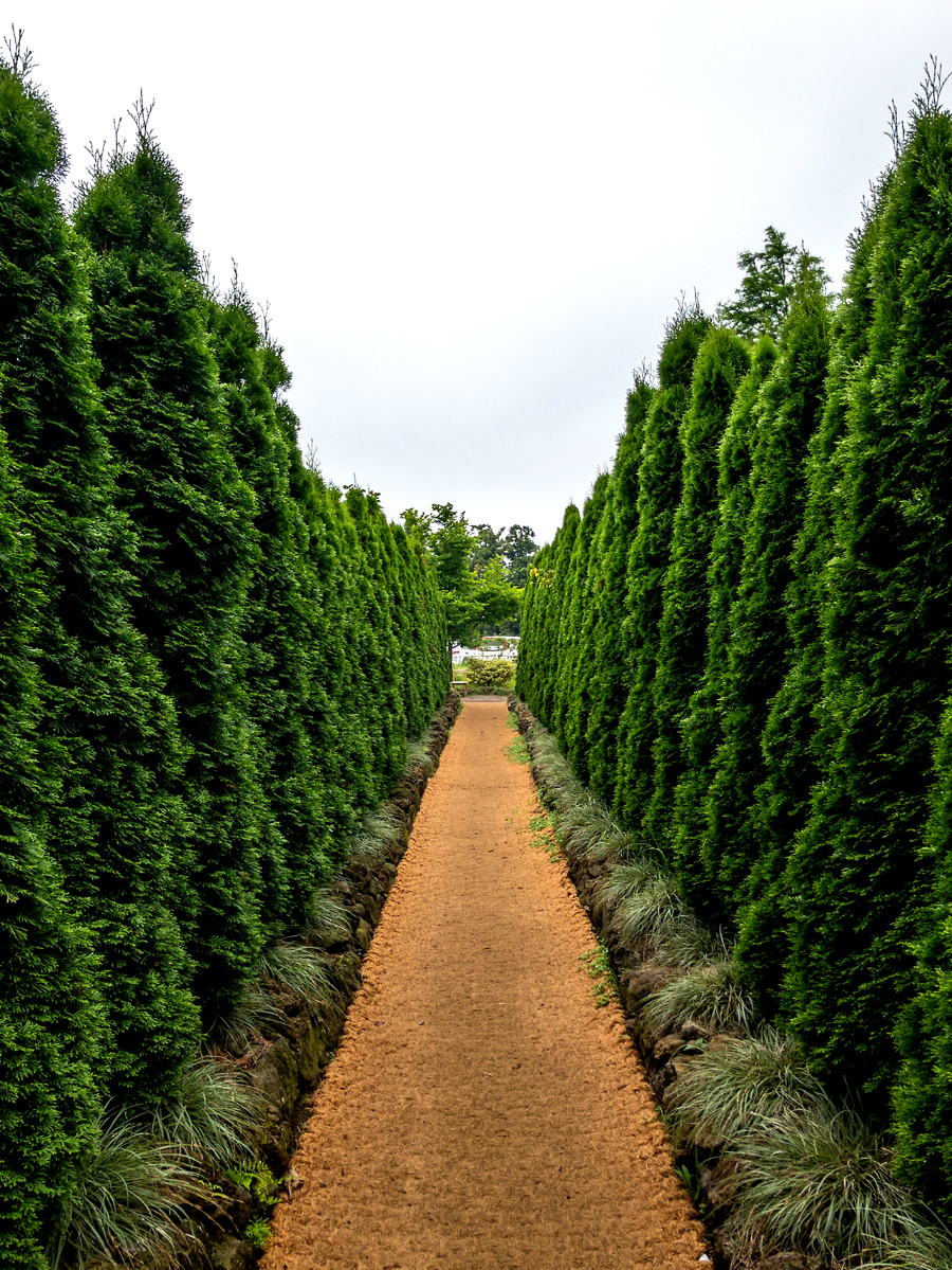 특색있고 아름다운 민간 정원 30선 추천 여행 - 09. 제주 베케정원