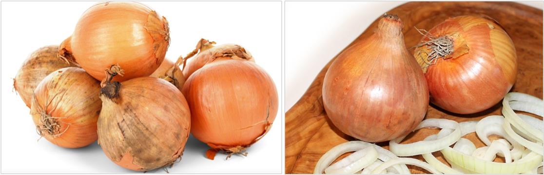 껍질에-쌓인-양파-및-썰은-양파-이미지