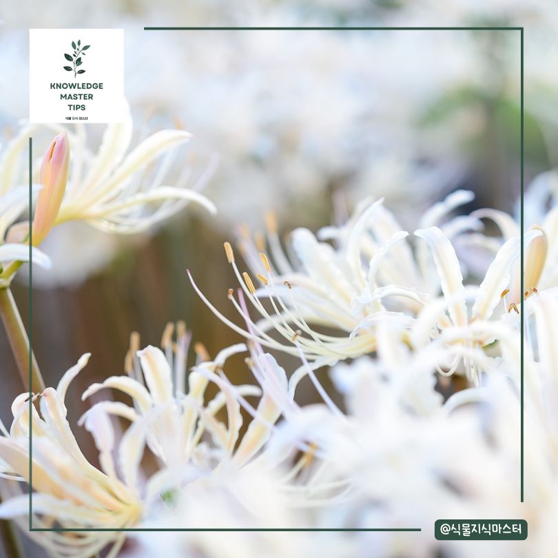 어떻게 쓰였을까요?