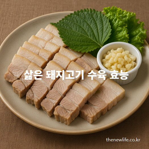 삶은 돼지고기 수육과 마늘, 상추, 깻잎이 함께 담긴 대표 이미지