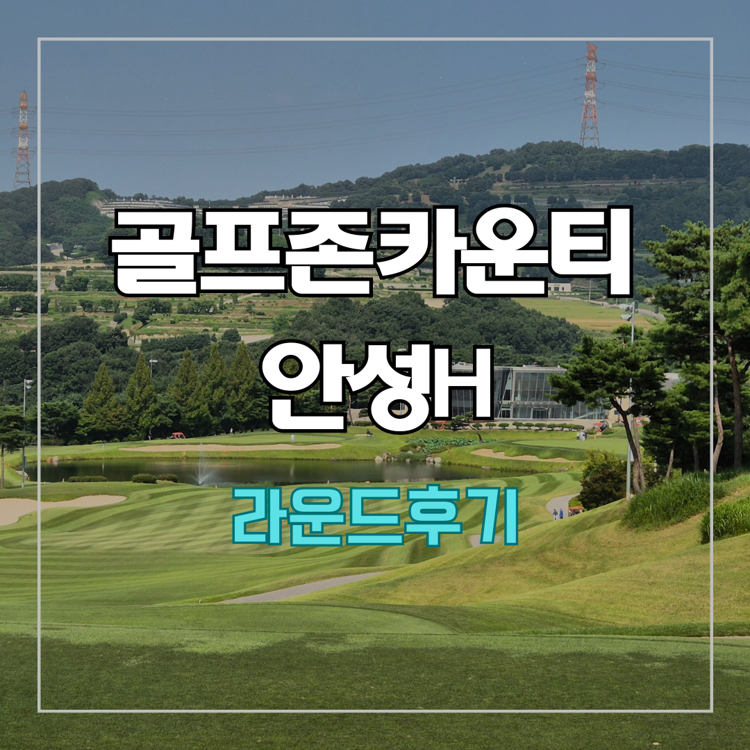 골프존카운티 안성H