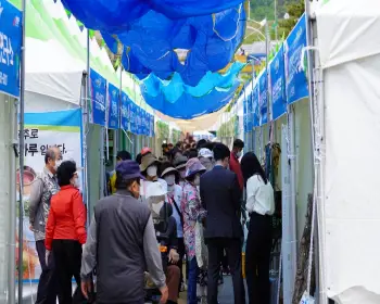 영양 산나물축제_7