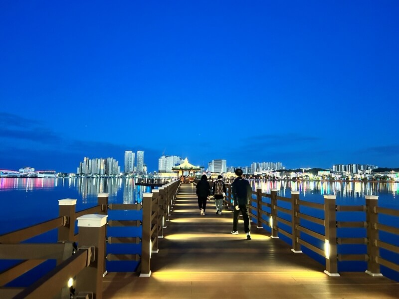 속초 청초호 야경