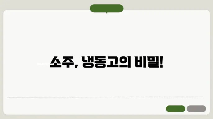 소주 냉동 보관