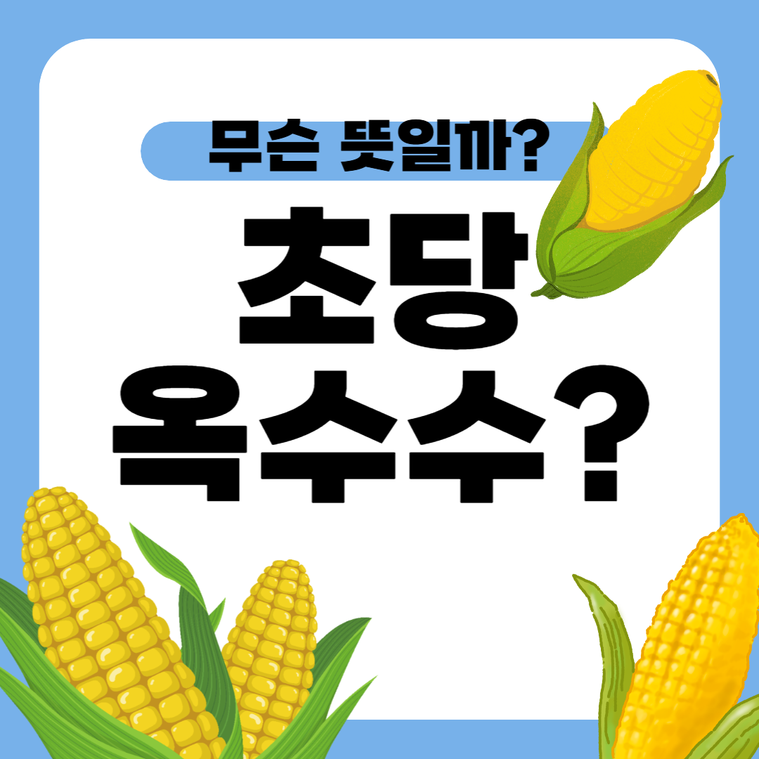 초당옥수수란? 유명 산지(의령, 밀양 등)