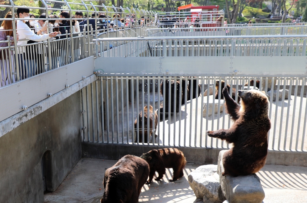 2024 베어트리파크 단풍축제 예매