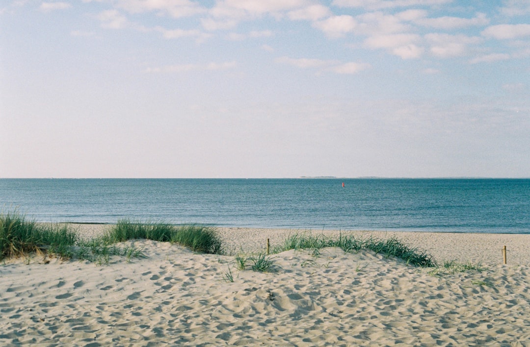 Film