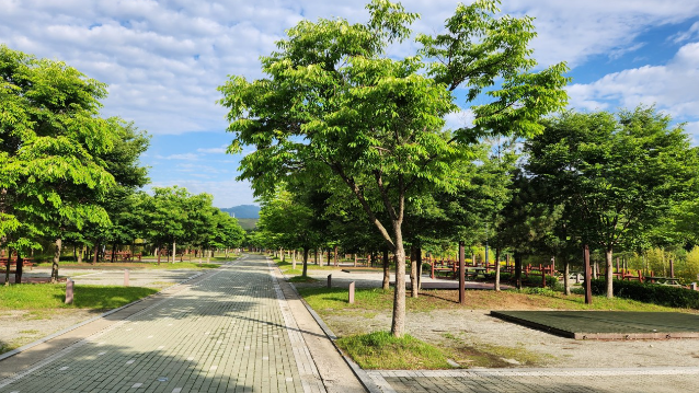 대구경북 캠핑장 추천