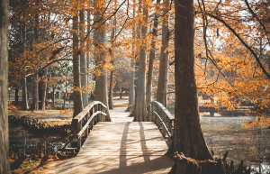 한국의 사계절 여행지 요약