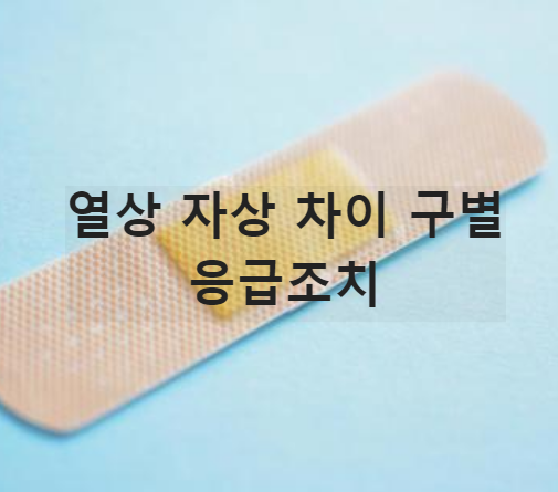 반창고