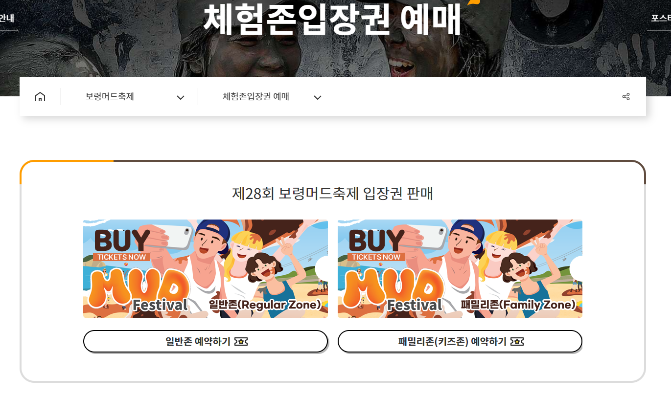 보령머드축제 체험존입장권 예매