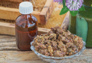 프로폴리스 복용법