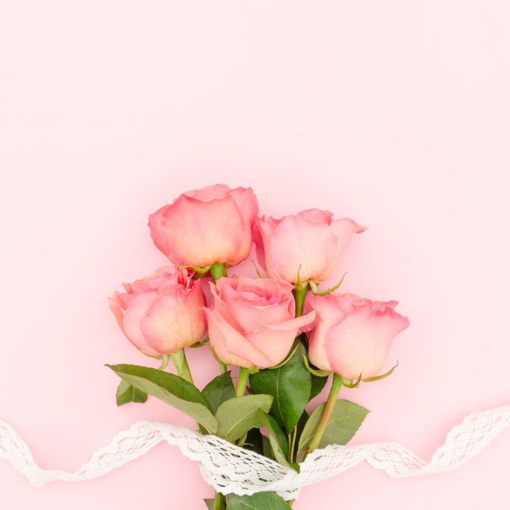 분홍 장미 – ‘감사’와 ‘우아함’