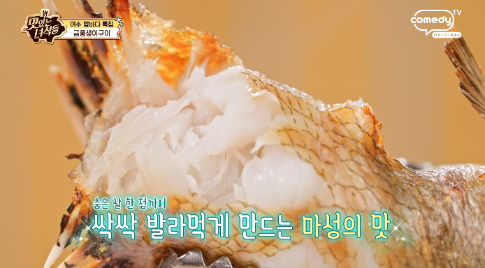 금풍생이속살