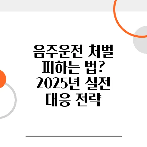 음주운전 처벌 피하는 법? 2025년 실전 대응 전략