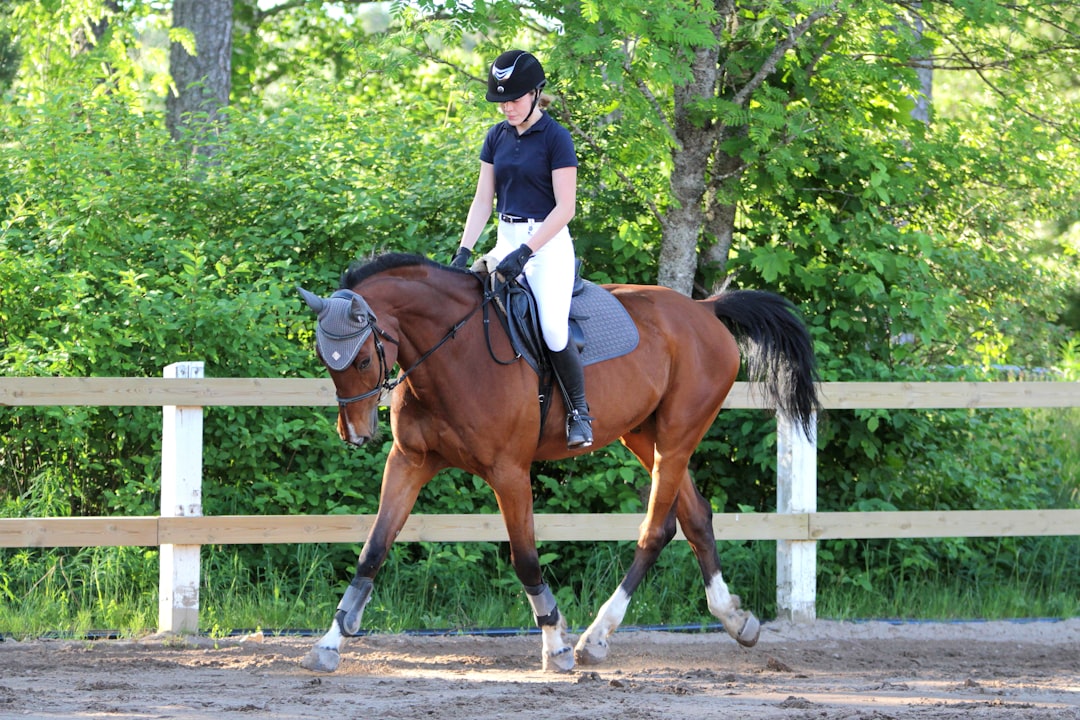 Trot