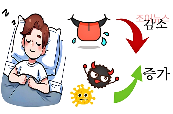 충치 및 잇몸 질환의 주범, 세균막의 발생과정 및 영향