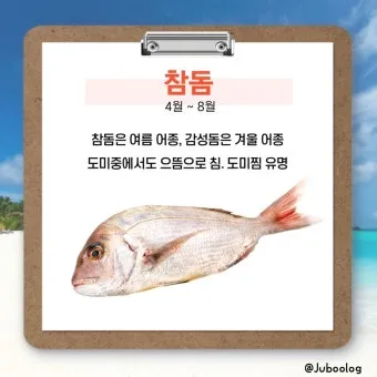 여름철 제철 해산물 추천 리스트 및 요리 활용법 안내_29
