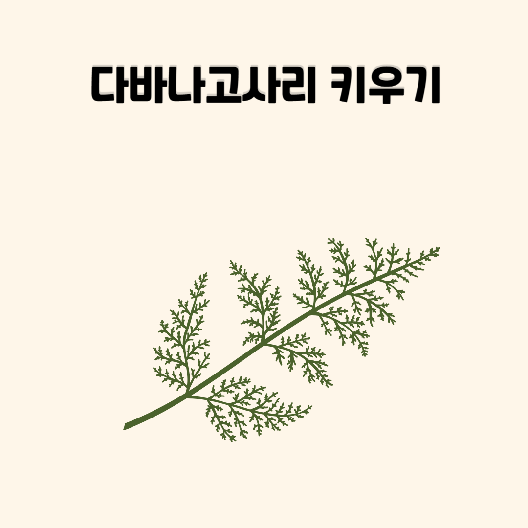 다바나고사리 키우기 – 다바나고사리 키우는 방법