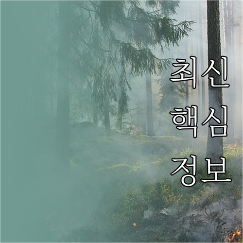 DB형 퇴직연금 내 퇴직금 계산법과 ..