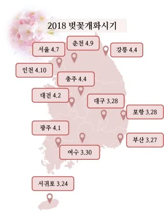 벚꽃 만개시기 2025 숨겨진 명소 베스트3_11