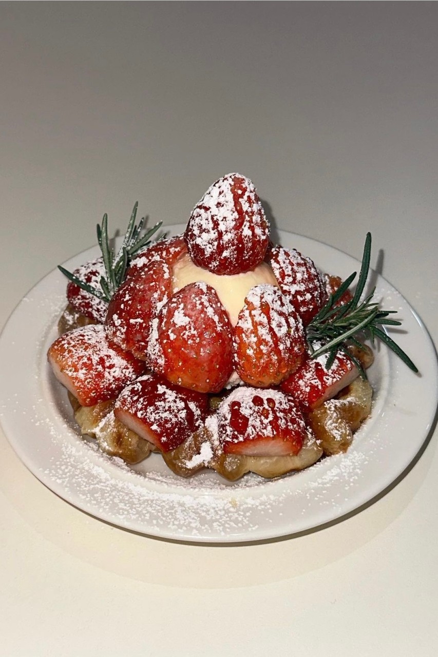 커피하우스렌토