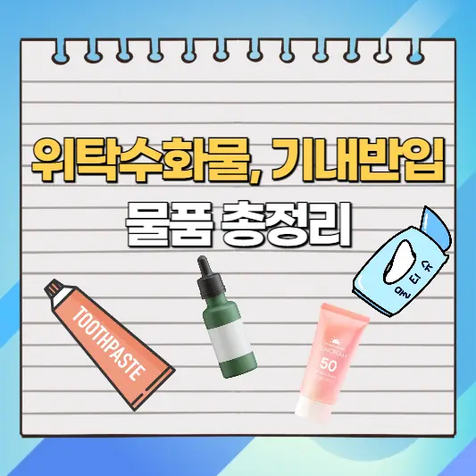 위탁수화물-기내반입물품 총정리