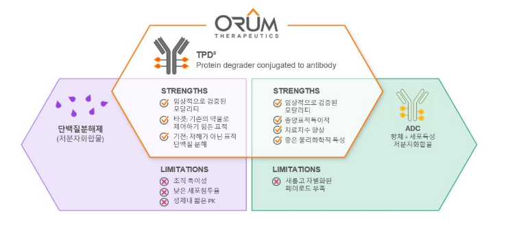 오름테라퓨틱 공모주 청약일정 수요예측
