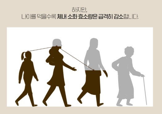 카무트효소효능