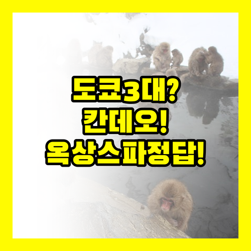 도쿄 3대 호텔 비교해보니 답이 나왔..