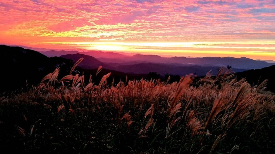황매산 억새축제 2025&amp;#44; 합천 하늘정원에서 즐기는 가을축제