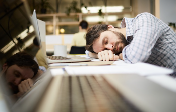 워크넷 고용노동부워크넷worknet 바로가기 6