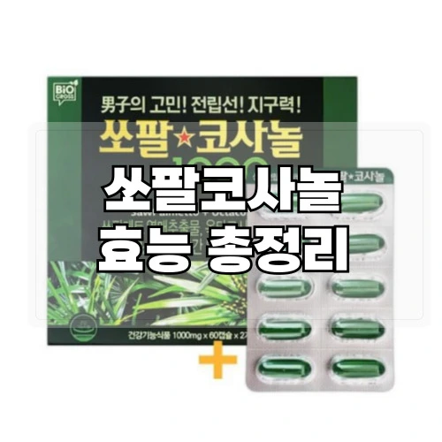 쏘팔코사놀-효능-총정리