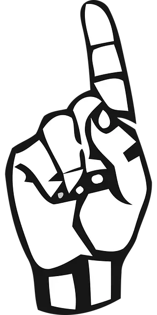 장애인연금 신청