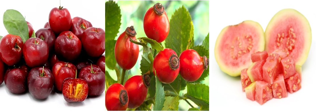 아세롤라 체리, 로즈힙, 구아바