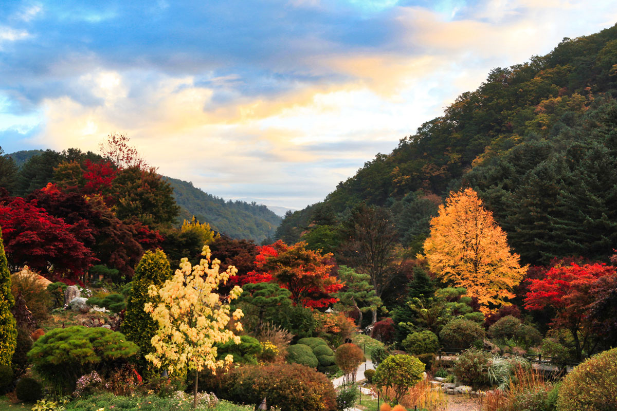 수목원