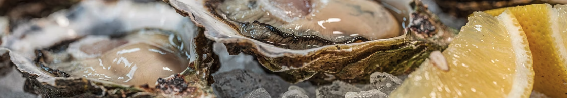 구리 절대 강자 동물성 식품 대표