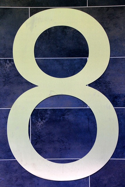 8주에 관한 이미지
