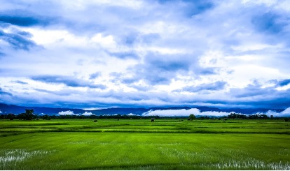 영농 경력 5년 쉽게 하는 법: 농지연금