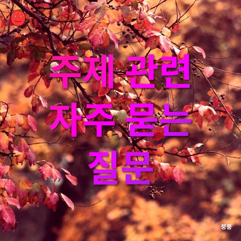 춘분의 의미와 가치_4