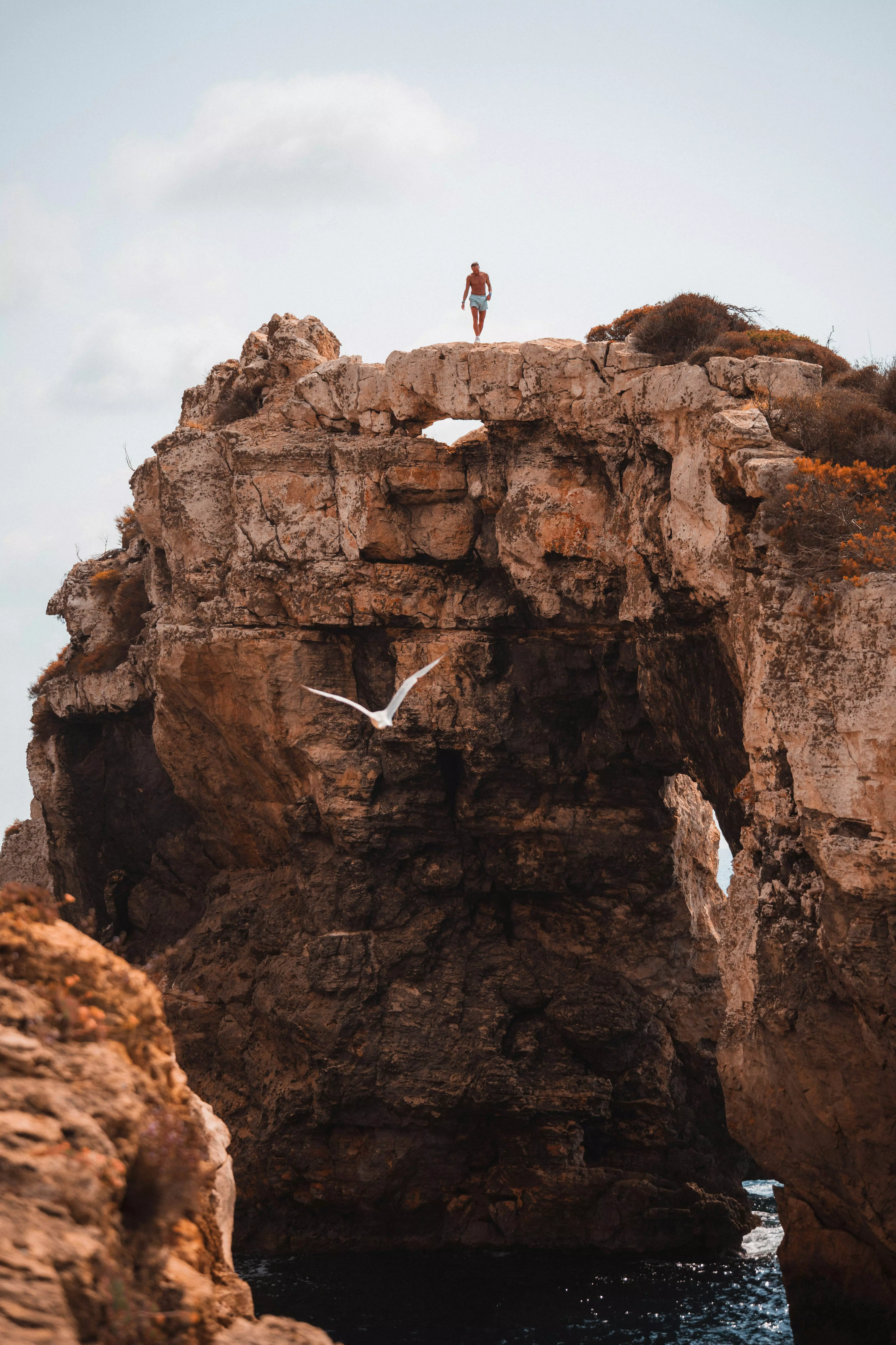 30대 여성 필수영양제 Best 5