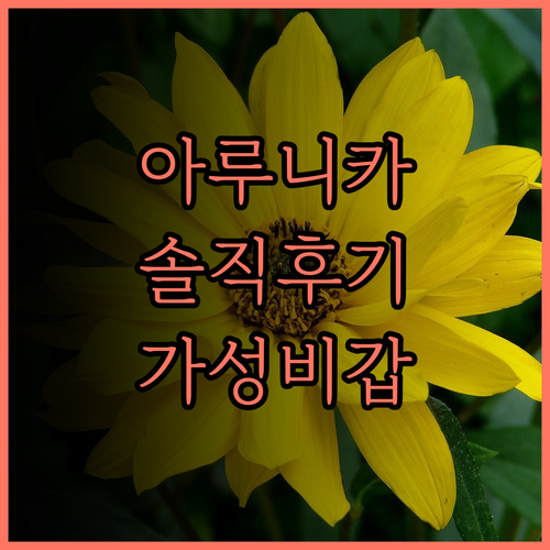 아루니카 호텔 & 스파 솔직 후기 발