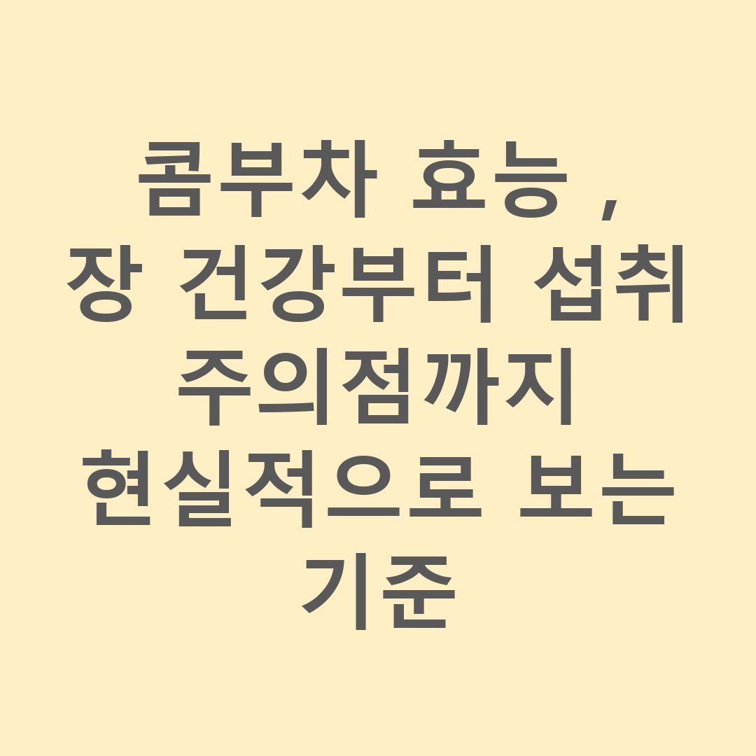 콤부차 효능, 장 건강부터 섭취 주의점까지 현실적으로 보는 기준