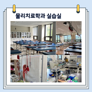 재활치료사