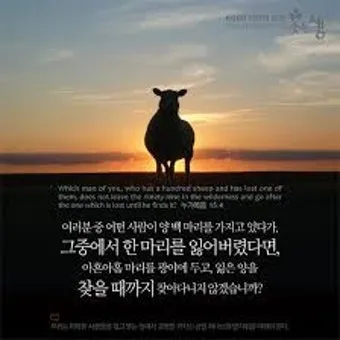 매일성경묵상과 은혜(누가복음 15장 11-32절) 잃었다가 다시 얻은 기쁨_30