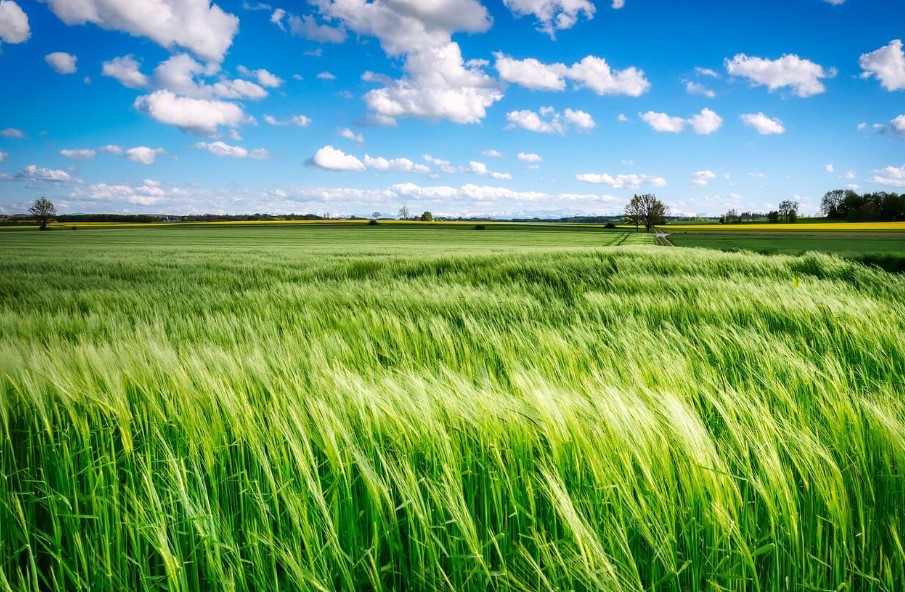 24절기백로뜻과유래