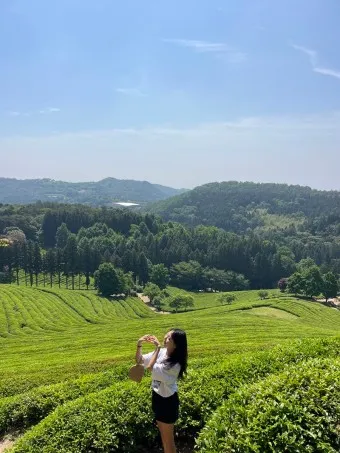 보성 가볼만한곳 베스트10 현지인 추천 필수코스_19