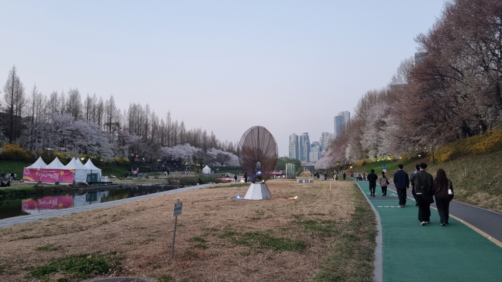 양재천벚꽃축제